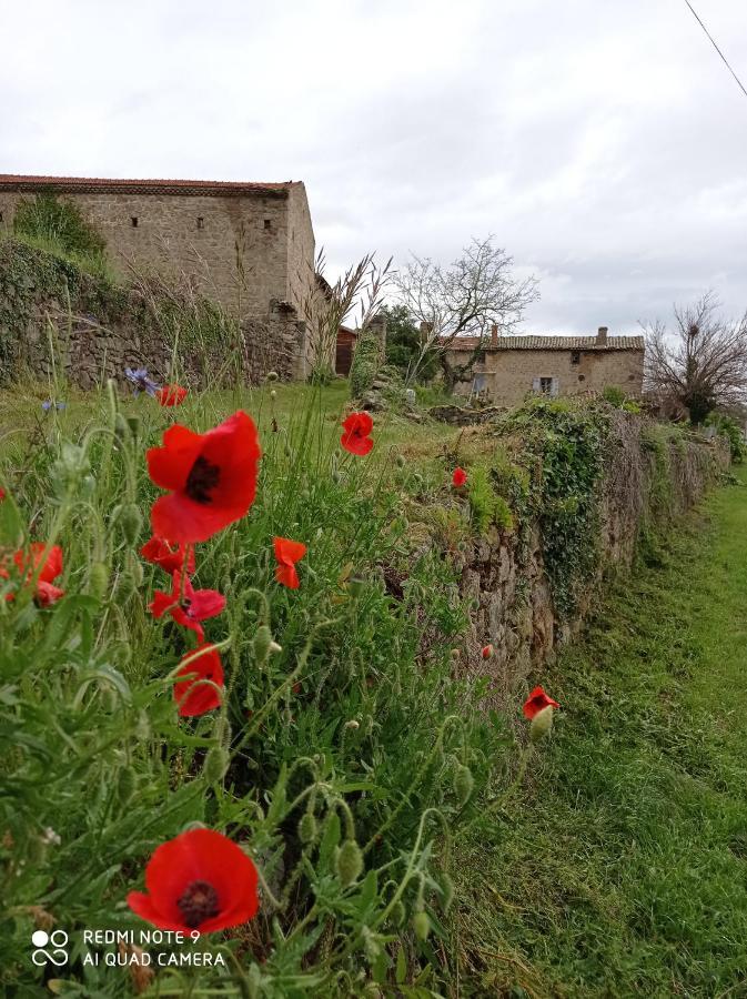 הוילה Boulieu-les-Annonay Ferme De Fenivou מראה חיצוני תמונה